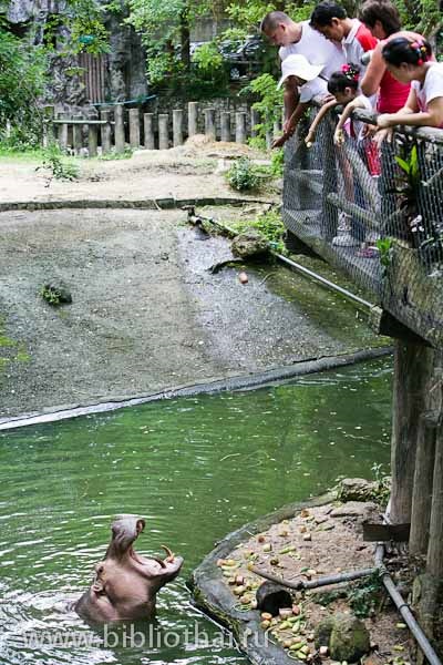 Deschideți zoo khao kheo (khao kheow zoo)