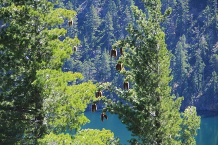 Lacul Tahoe din SUA - centrul de turism stațiune în munții din California, lac tahoe