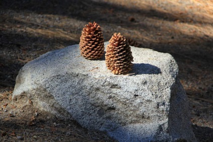 Lacul Tahoe din SUA - centrul de turism stațiune în munții din California, lac tahoe