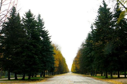 Parks of St. Petersburg, ahol sétálni a télen egy gyerek és egy kutya