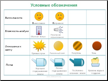 Pașaportul plantelor de apartament - pedagogie de prezentare