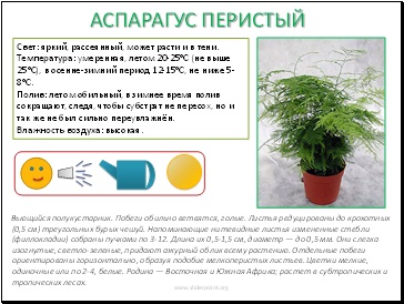 Pașaportul plantelor de apartament - pedagogie de prezentare