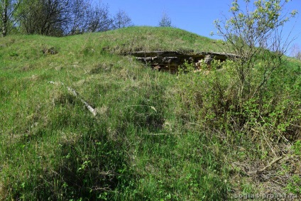 Parcul Pavlovsk