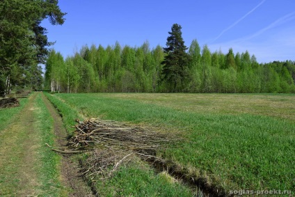 Parcul Pavlovsk