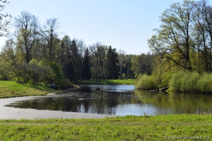 Parcul Pavlovsk