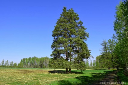 Parcul Pavlovsk