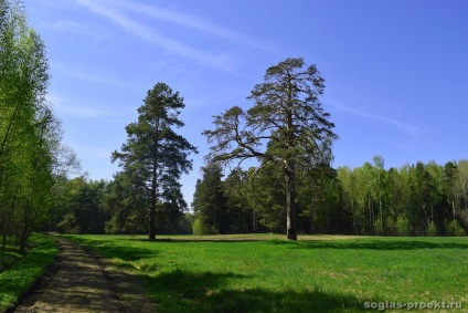 Parcul Pavlovsk