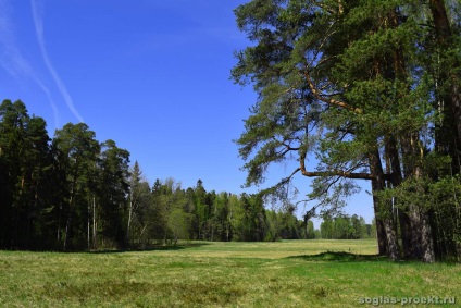 Parcul Pavlovsk