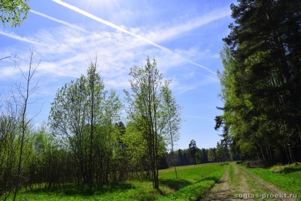 Parcul Pavlovsk