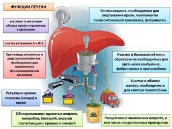 Nutriție pentru afecțiuni ale ficatului și ale pancreasului