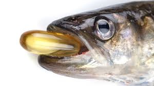 Beneficiile uleiului de pește