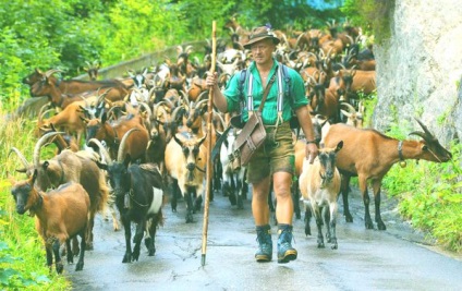 Povești vechi de poveste de basm