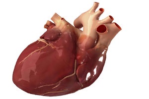 Blocaj cardiac drept - tratament cardiac