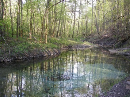 Atracții naturale din Mari El