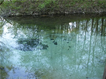 Atracții naturale din Mari El