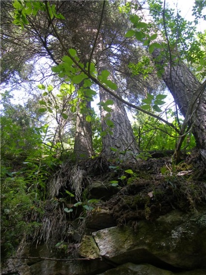 Atracții naturale din Mari El