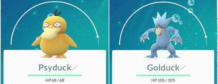 Psikak psyadak în pokemon go - evoluția psyduckului în pokemon go