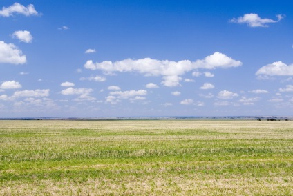 Plains, cel mai mare portal de studiu