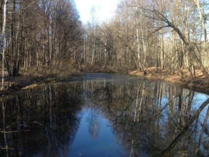 A distrus parcul istoric din opalaha de dragul clădirilor noi, pe care nimeni nu le va cumpăra