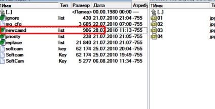 Receiver skyway light 2 - setări și firmware