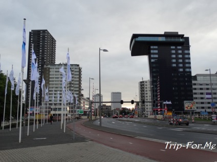 Rotterdam cum să obțineți ce puteți vedea, revizuiți
