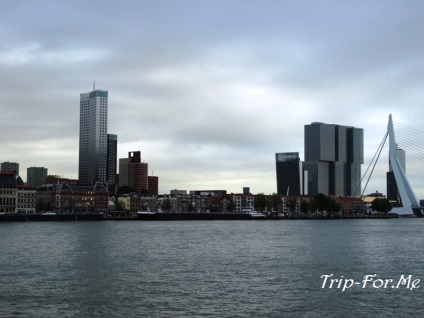 Rotterdam cum să obțineți ce puteți vedea, revizuiți