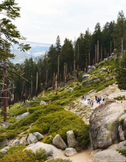 Cel mai interesant lucru despre Parcul Național Yosemite