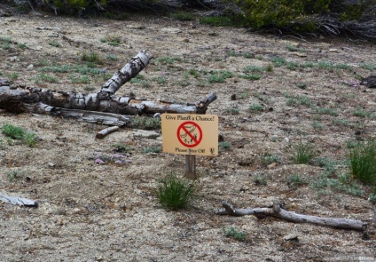 Cel mai interesant lucru despre Parcul Național Yosemite