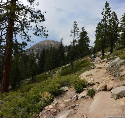 Cel mai interesant lucru despre Parcul Național Yosemite