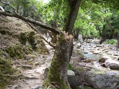 Samothrace - cât de mult în acest sunet