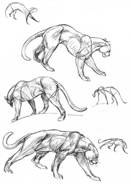Familie de pisici, arta de a desena animale - desene de lectii in creion, lectii de pictura