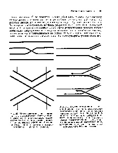 Cromatidele sora - ghidul chimistului 21