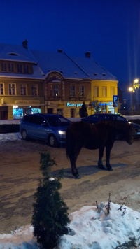 Sighișoara - atracții, biserici și temple, muzee și parcuri, cum să ajungi acolo și când este mai bine