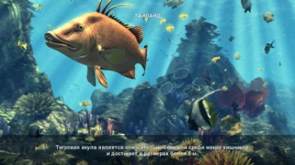 Descărcați jocul de adâncime hunter 2 deep dive (2014) pe pc prin torrent gratuit în engleză