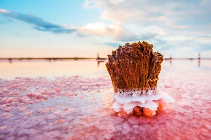 Salt Lake Sasyk-Sivash în Crimeea și calitățile sale uimitoare