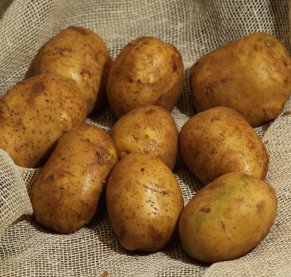 Soiuri de cartofi de sămânță