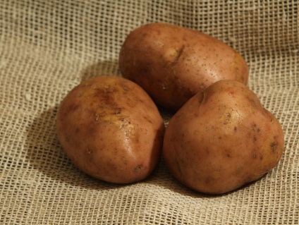 Soiuri de cartofi de sămânță