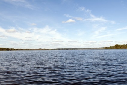 Pine - Lake Sterzh
