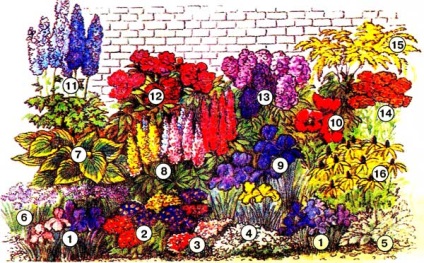 Sfaturi florar, ce trebuie să știți despre flori