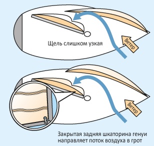 Сътрудничество стаксел и грот