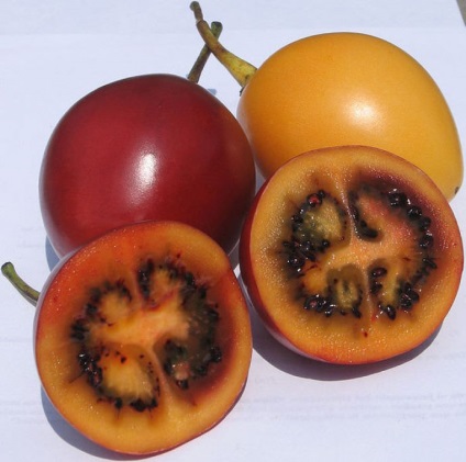 Compoziția Tamarillo, proprietăți utile, plantare, îngrijire, caracteristici, video