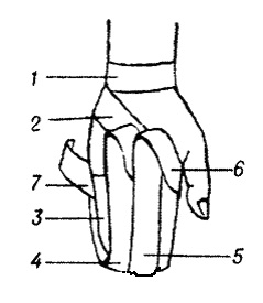 Bandaje tipice pe abdomen, perineu, membre