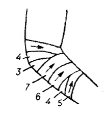 Bandaje tipice pe abdomen, perineu, membre