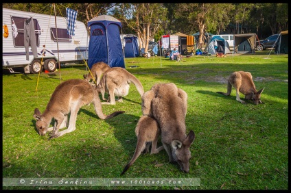 Top 10 australia - cele mai bune drumuri de călătorie (1), cele 100 de drumuri