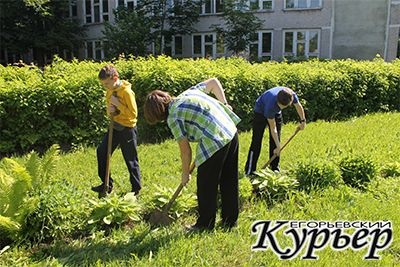 Elevii școlii numărul 4 înfrumuseța site-ul școală Yegoryevsky curier