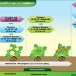 Добриво здравень спосіб застосування і відгуки, турбо універсальний для розсади та аква,