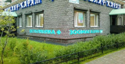 Állatorvosi klinika a halászat Vega Vega St. Petersburg, veterinärklinik Shlisselburgsky Avenue