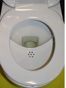 Alegerea unei toalete fără instrucțiuni de utilizare a pulverizării, materiale, desene, tipuri de conexiuni și