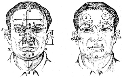 Învățământul superior - § 2