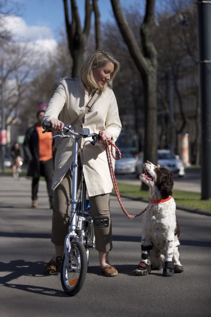 Te, a kerékpáros és a kutya 6 titkot, hogy egy kellemes és hasznos séták